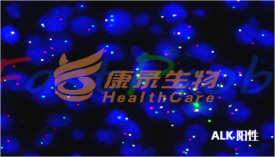中国·拉斯维加斯(3499·官方认证)网站-Officialwebsite