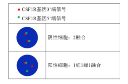 中国·拉斯维加斯(3499·官方认证)网站-Officialwebsite