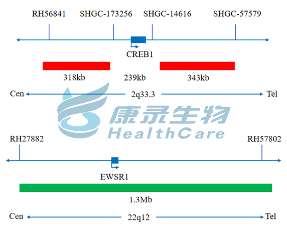 中国·拉斯维加斯(3499·官方认证)网站-Officialwebsite