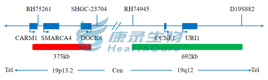 中国·拉斯维加斯(3499·官方认证)网站-Officialwebsite