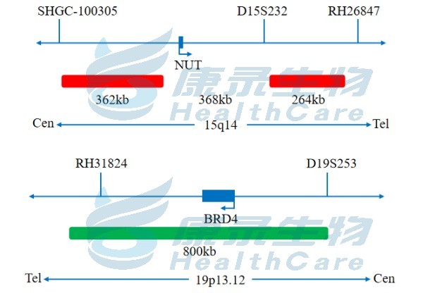中国·拉斯维加斯(3499·官方认证)网站-Officialwebsite