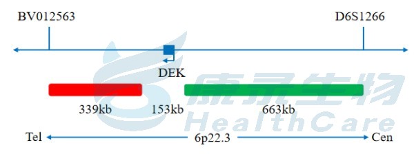 中国·拉斯维加斯(3499·官方认证)网站-Officialwebsite