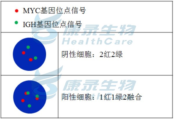 中国·拉斯维加斯(3499·官方认证)网站-Officialwebsite