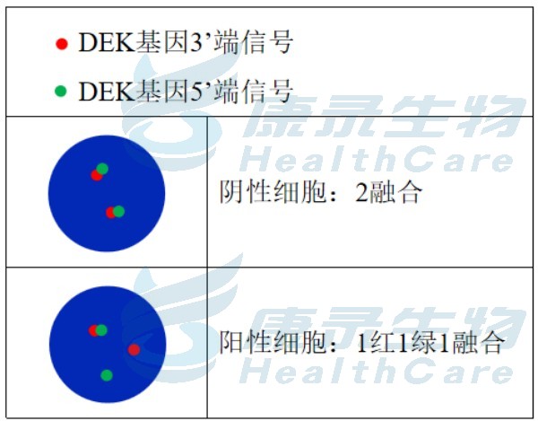 中国·拉斯维加斯(3499·官方认证)网站-Officialwebsite