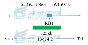 中国·拉斯维加斯(3499·官方认证)网站-Officialwebsite