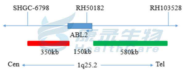 中国·拉斯维加斯(3499·官方认证)网站-Officialwebsite
