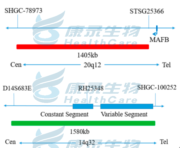 中国·拉斯维加斯(3499·官方认证)网站-Officialwebsite