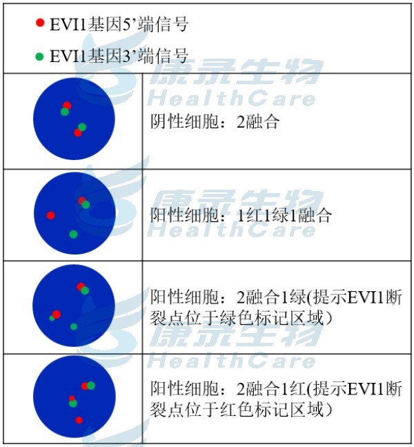 中国·拉斯维加斯(3499·官方认证)网站-Officialwebsite