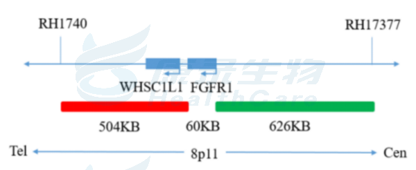 中国·拉斯维加斯(3499·官方认证)网站-Officialwebsite