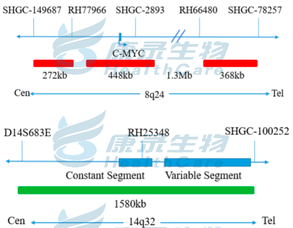 中国·拉斯维加斯(3499·官方认证)网站-Officialwebsite