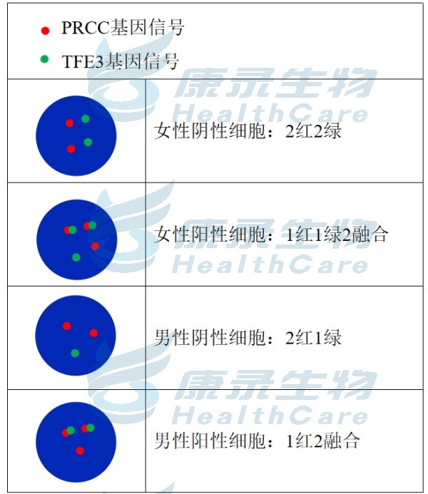 中国·拉斯维加斯(3499·官方认证)网站-Officialwebsite