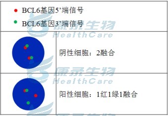 中国·拉斯维加斯(3499·官方认证)网站-Officialwebsite