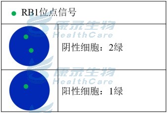 中国·拉斯维加斯(3499·官方认证)网站-Officialwebsite