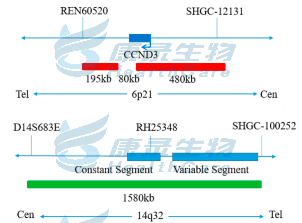 中国·拉斯维加斯(3499·官方认证)网站-Officialwebsite