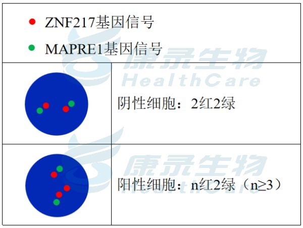中国·拉斯维加斯(3499·官方认证)网站-Officialwebsite