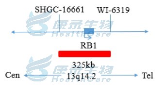 中国·拉斯维加斯(3499·官方认证)网站-Officialwebsite