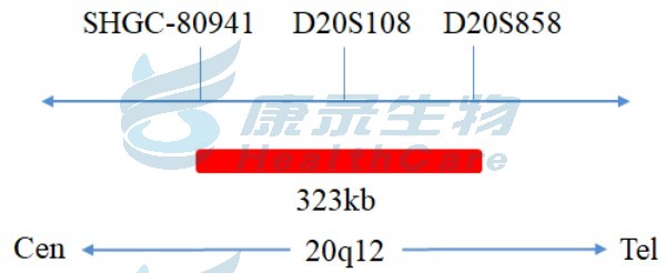 中国·拉斯维加斯(3499·官方认证)网站-Officialwebsite