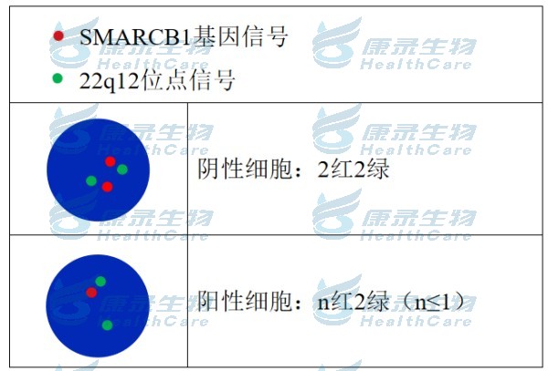 中国·拉斯维加斯(3499·官方认证)网站-Officialwebsite