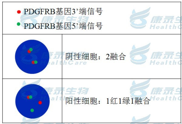 中国·拉斯维加斯(3499·官方认证)网站-Officialwebsite
