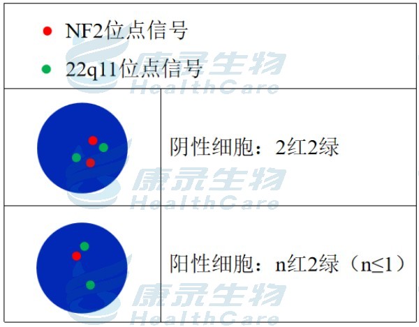 中国·拉斯维加斯(3499·官方认证)网站-Officialwebsite