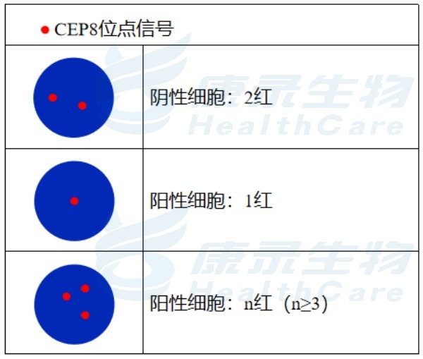 中国·拉斯维加斯(3499·官方认证)网站-Officialwebsite