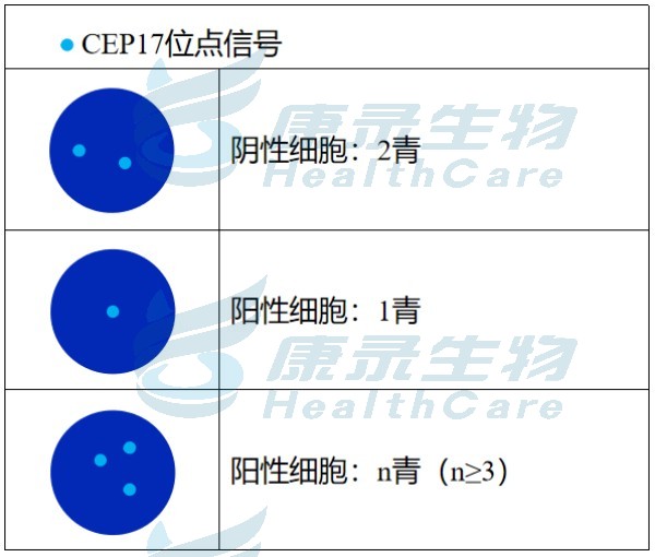 中国·拉斯维加斯(3499·官方认证)网站-Officialwebsite