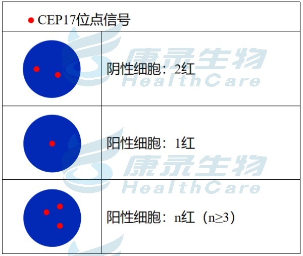 中国·拉斯维加斯(3499·官方认证)网站-Officialwebsite