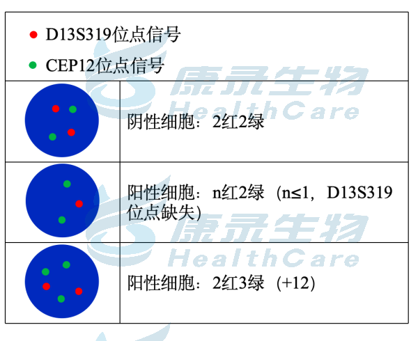 中国·拉斯维加斯(3499·官方认证)网站-Officialwebsite