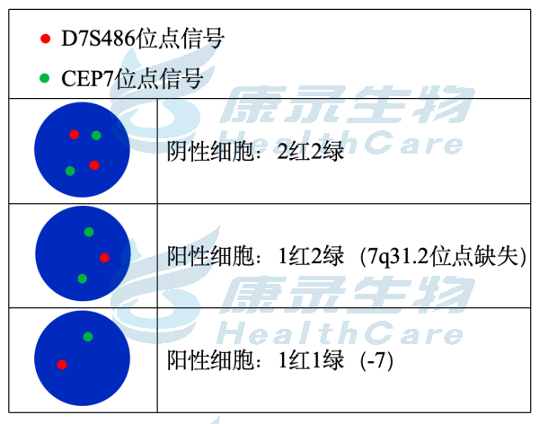 中国·拉斯维加斯(3499·官方认证)网站-Officialwebsite