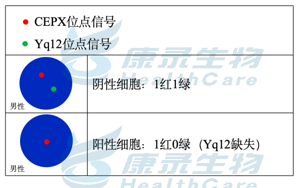 中国·拉斯维加斯(3499·官方认证)网站-Officialwebsite