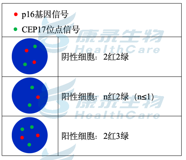 中国·拉斯维加斯(3499·官方认证)网站-Officialwebsite