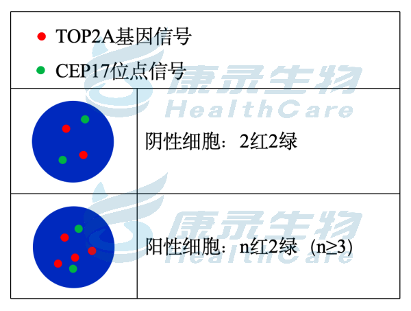 中国·拉斯维加斯(3499·官方认证)网站-Officialwebsite