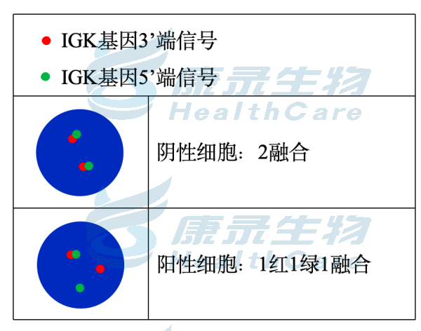 中国·拉斯维加斯(3499·官方认证)网站-Officialwebsite