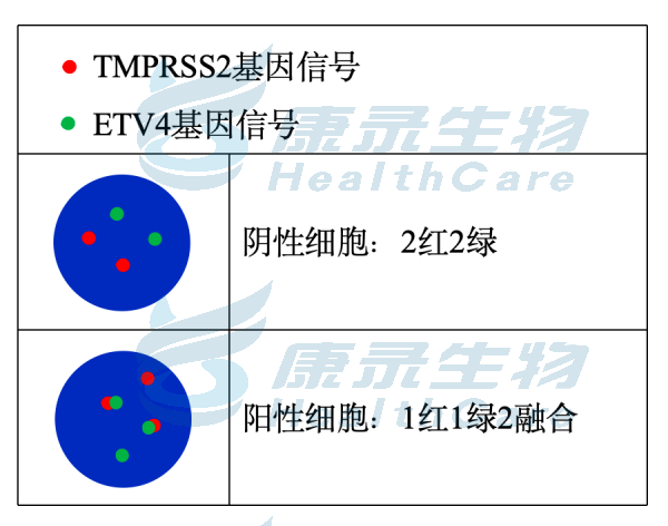 中国·拉斯维加斯(3499·官方认证)网站-Officialwebsite