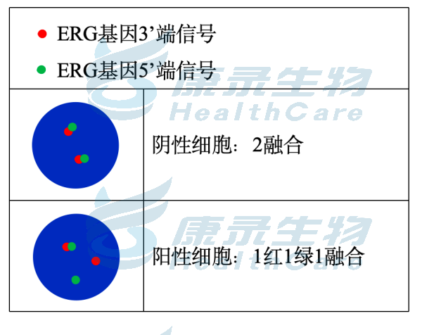 中国·拉斯维加斯(3499·官方认证)网站-Officialwebsite