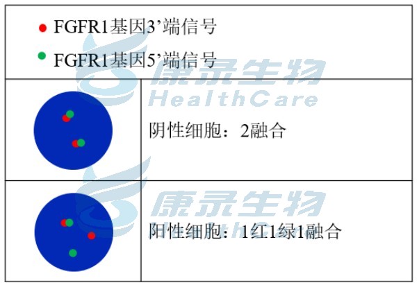 中国·拉斯维加斯(3499·官方认证)网站-Officialwebsite