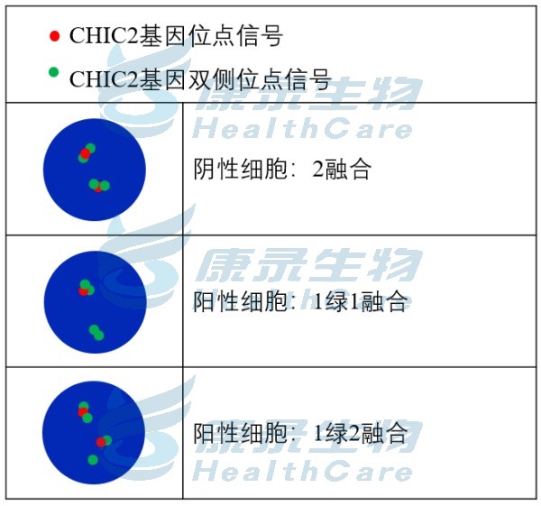 中国·拉斯维加斯(3499·官方认证)网站-Officialwebsite