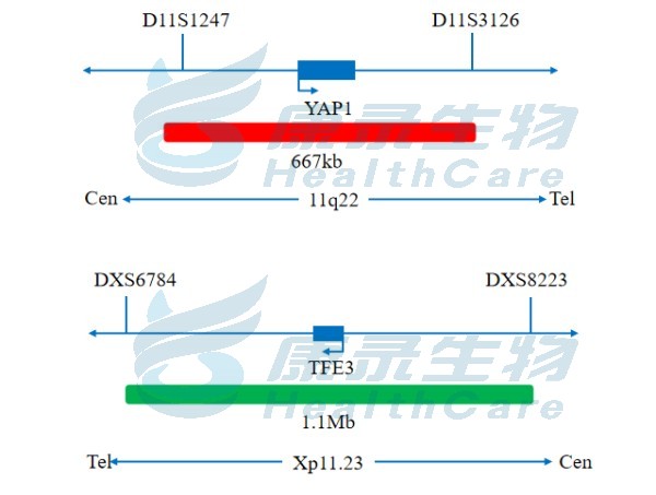 中国·拉斯维加斯(3499·官方认证)网站-Officialwebsite