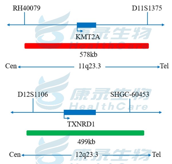中国·拉斯维加斯(3499·官方认证)网站-Officialwebsite