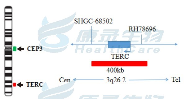 中国·拉斯维加斯(3499·官方认证)网站-Officialwebsite