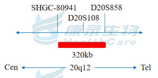 中国·拉斯维加斯(3499·官方认证)网站-Officialwebsite