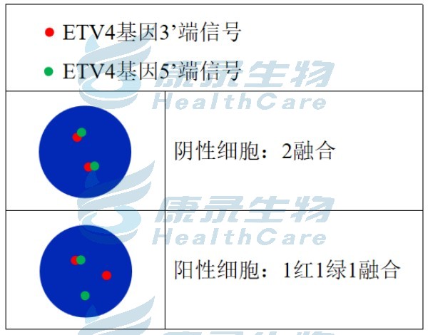 中国·拉斯维加斯(3499·官方认证)网站-Officialwebsite