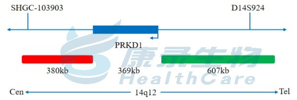中国·拉斯维加斯(3499·官方认证)网站-Officialwebsite