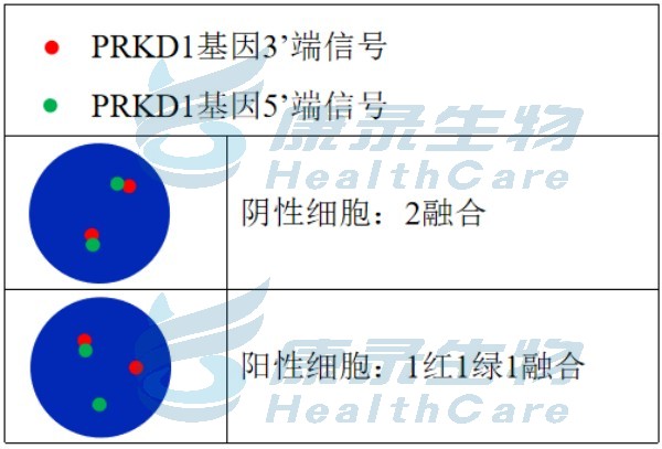 中国·拉斯维加斯(3499·官方认证)网站-Officialwebsite
