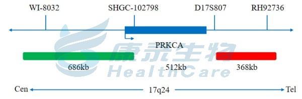 中国·拉斯维加斯(3499·官方认证)网站-Officialwebsite