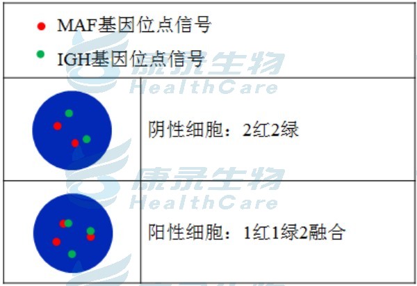 中国·拉斯维加斯(3499·官方认证)网站-Officialwebsite