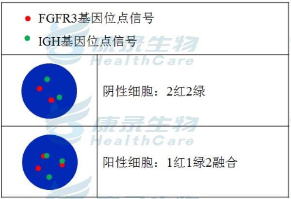 中国·拉斯维加斯(3499·官方认证)网站-Officialwebsite