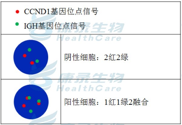 中国·拉斯维加斯(3499·官方认证)网站-Officialwebsite