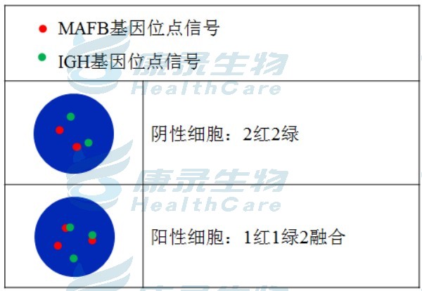 中国·拉斯维加斯(3499·官方认证)网站-Officialwebsite