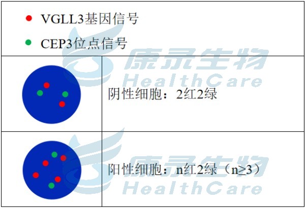 中国·拉斯维加斯(3499·官方认证)网站-Officialwebsite